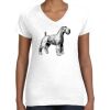 Women's Fine Jersey V-Neck Tee Thumbnail